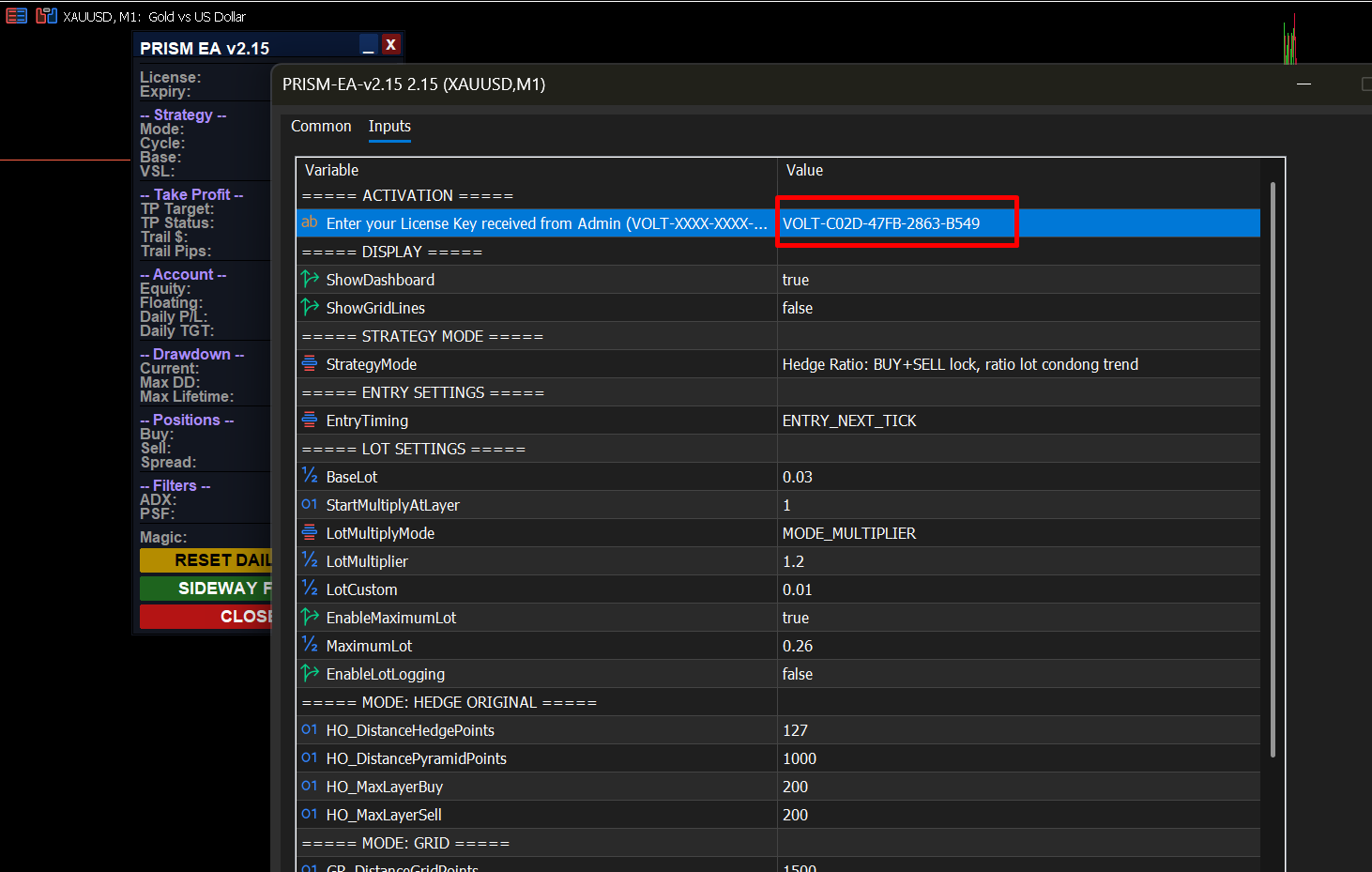 Inputs tab → ACTIVATION section